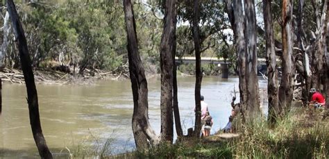 The Murrumbidgee River Attraction Tour Narrandera