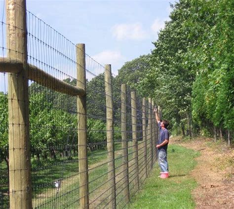 River Valley Fencing High Tensile Economical Deer Exclusion Fencing