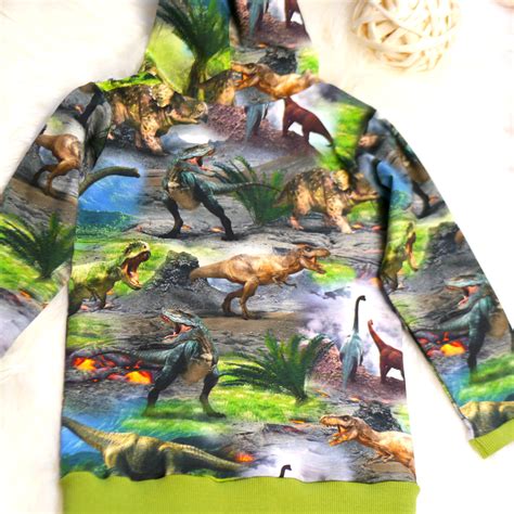 Pullover Mit Kapuze Oberteil Dinosaurier Kinder Salsa Styles