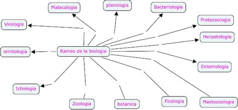 GReen WorLd Act Numero 12 Ramas De La Biologia