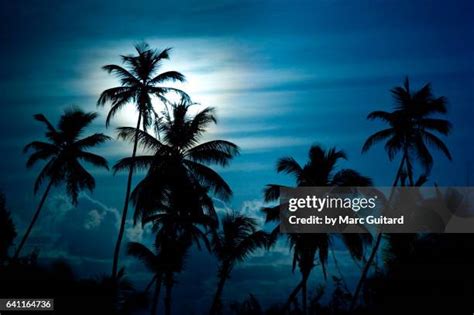 Caribbean Night Sky Photos and Premium High Res Pictures - Getty Images