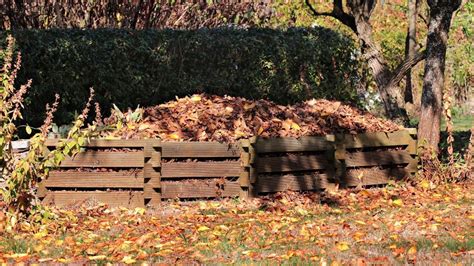 Cómo iniciar un montón de compost octubre 2024