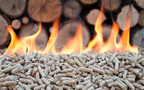 Wood Pellets Have Perfect Performance In Co Firing Power Stations