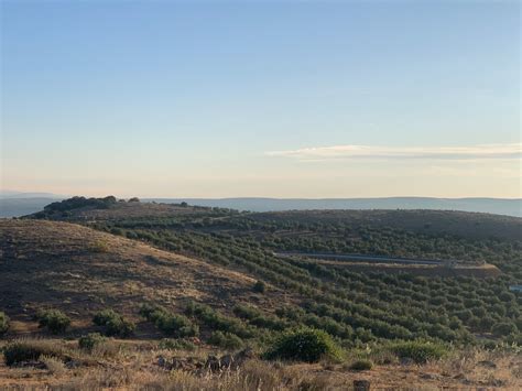 Asaja Impulsa La Digitalizaci N Del Sector Agrario A Trav S Del