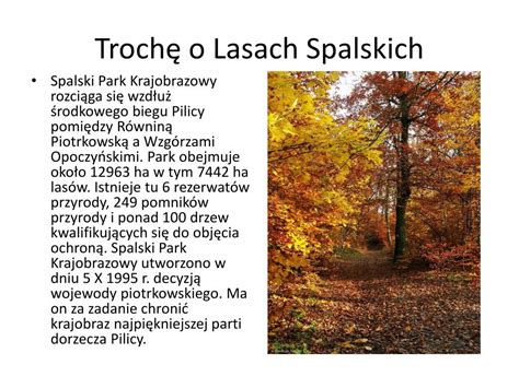 Ppt Projekt Edukacyjny Pi Kna Nasza Polska Ca A Lasy Spalskie