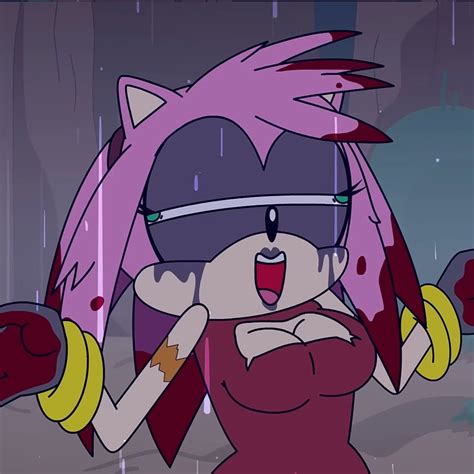 Old Fan Amy Rose Sonic Art The Secret History Eevee Anime Sonic