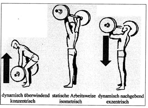 Kontraktionsform Schwimmlexikon Das Lexikon Des Schwimmsports