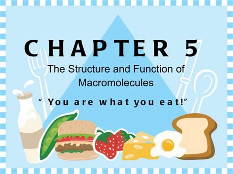 Macromolecules Lecture Ppt