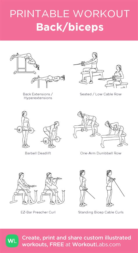 Back And Biceps · Free Workout By Workoutlabs Fit Artofit
