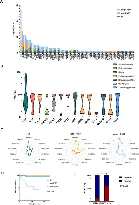 The Frequency And Variant Allele Frequency VAF Of Mutated Genes A