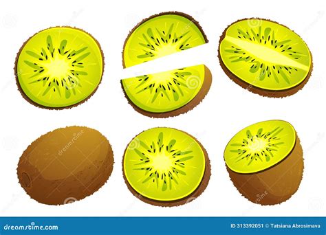 Kiwi Collection Of Fresh Juicy Kiwis Whole Kiwi Slices Stock Vector