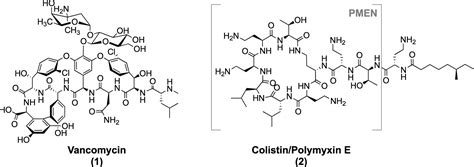 Vancomyxins Vancomycin Polymyxin Nonapeptide Conjugates That Retain Anti Gram Positive Activity