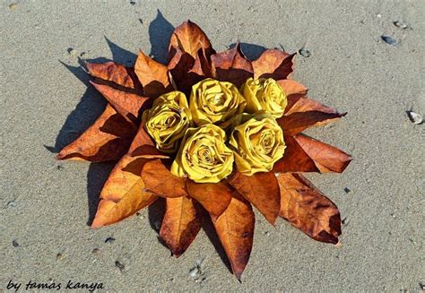 Leaves Rose From Hungary By Tamas Kanya Pebble Art Nature Art Land Art