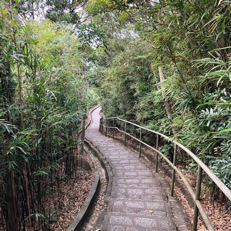 Lung Fu Shan Country Park 龍虎山郊野公園 4 tavsiye