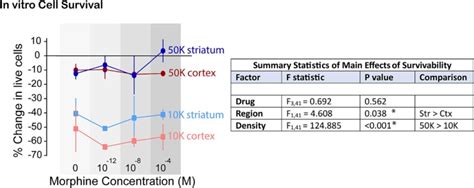 The Effect Of Morphine On Rat Microglial Phagocytic Activity An In