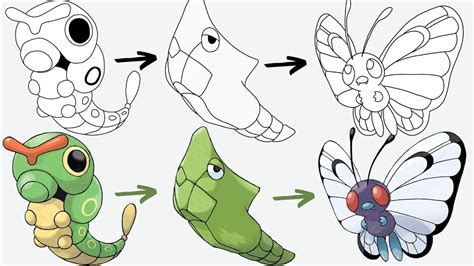 How To Draw Caterpie Metapod Butterfree Pokemon Pokemon Evolution