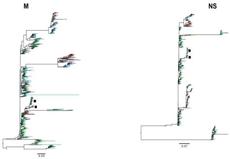 Phylogenetic Trees Of The Nucleotide Sequences Of The Pb2 Pb1 Pa Np