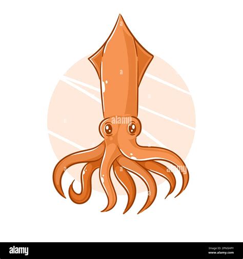 Hand Drawn Squid Cartoon Clipart Stock Vector Image Art Alamy