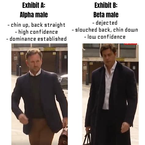 Christian Horner Alpha As Fuck R Formuladank