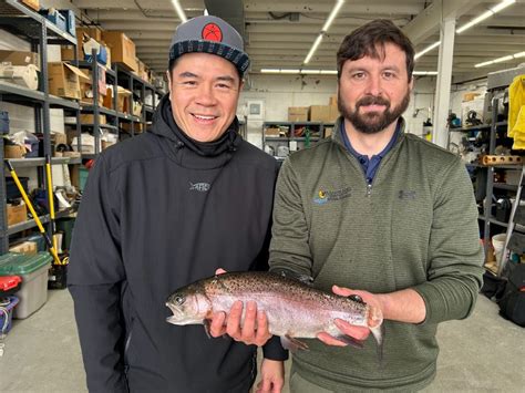 japanese ike jime method offers humane   produce high quality fish