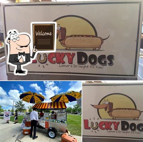 Lucky Dogs, 1200 Lakeside Ave E in Cleveland - Restaurant reviews