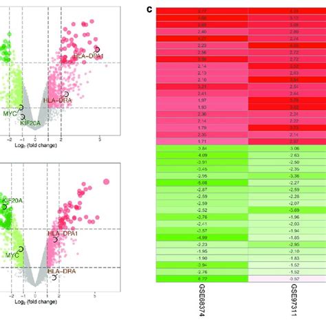 Identification Of Differentially Expressed Genes Degs A Volcano