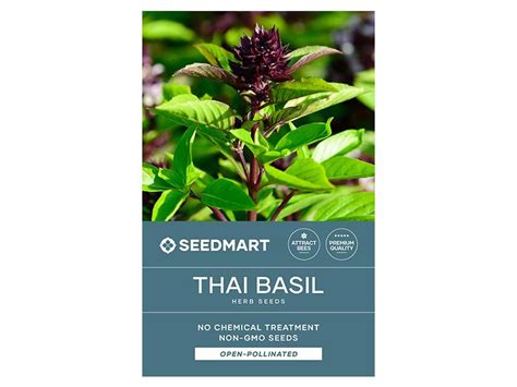 Thai Basil Herb Seeds | Non-GMO & No Chemical Treatment