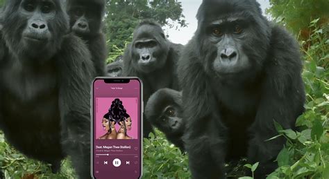 OOH AHH WHOEVER HAS AUX PUT ON WET ASS GORILLA R Ape