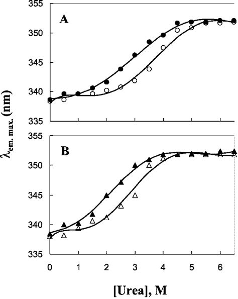 Urea Induced Denaturation Of The Wild Type And The Deletion Mutant Of