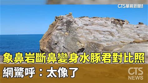 象鼻岩斷鼻變身水豚君對比照曝 網驚呼：太像了｜華視新聞 20240116 Youtube