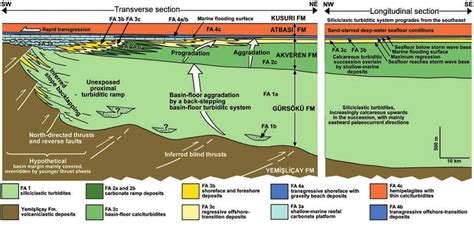 Schematic Transverse And Longitudinal Cross Sections Through The Download Scientific Diagram