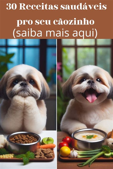 Ebook De Receitas Saud Veis Para Pet En