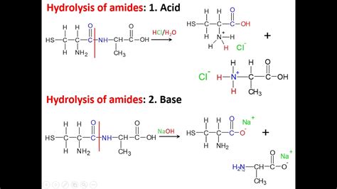 Hydrolysis Of Polyamides YouTube