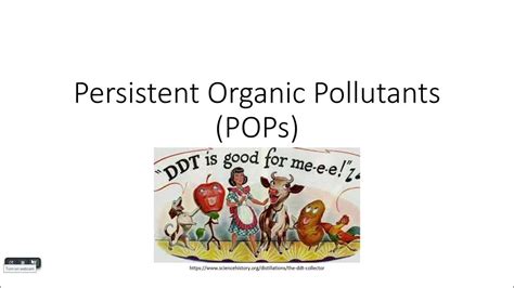 8 7 Persistent Organic Pollutants Pops Youtube