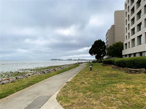 Review: San Francisco Airport Marriott Waterfront | Marriott Bonvoy ...