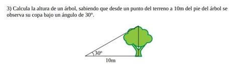 Calcula La Altura De Un Rbol Sabiendo Que Desde Un Punto Del