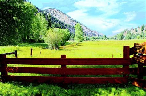 Ranch Scene Photograph By Polly Hooper