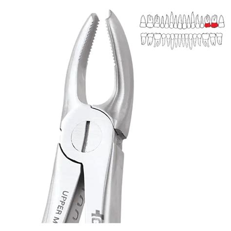 Buy GDC Extraction Forceps Upper Molar Left Standard FX18S Online