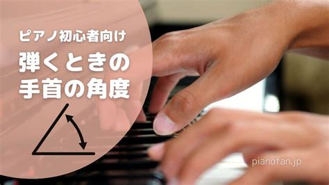 ピアノを弾くときの正しい手の形の作りかた【簡単】 Pianofan