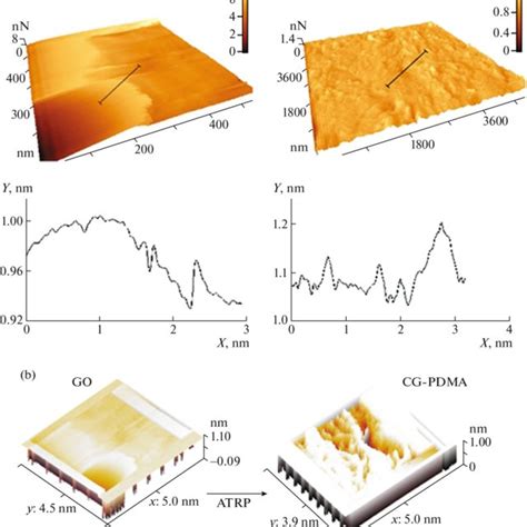 Color Online A AFM Images And Height Profiles Of GO Left And