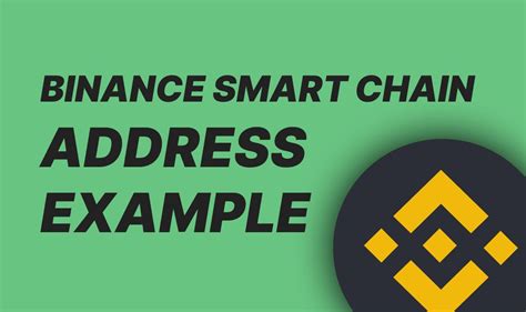 Binance Smart Chain Address Example Coin Wallet