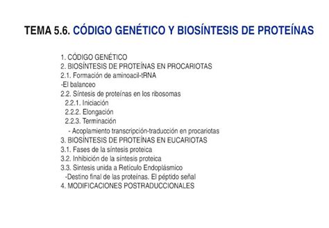 Pdf Tema 5 6 CÓdigo GenÉtico Y BiosÍntesis De ProteÍ Umh Es Wp Content Uploads