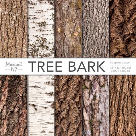 Tree Bark Naturescapes Digital Paper Rustic Tree Bark Etsy