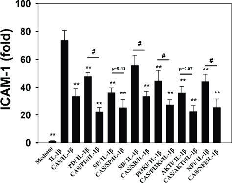 Inhibitory effects of MAPK PI3K Akt and NF κB inhibitors or casticin