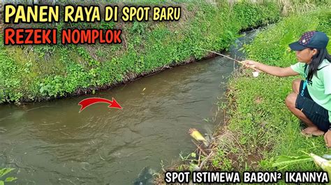 Pecah Rekor Mancing Wader Babon Di Spot Baru Plung Nyot Umpan Di