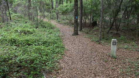 Leon Sinks Florida Hikes