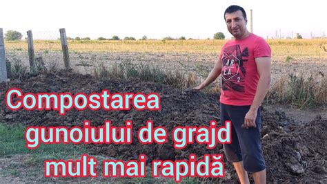 Cum Faci Compostarea Gunoiului De Grajd Mai Rapida Gunoi De Grajd