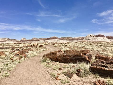 Visiting Petrified Forest National Park - Restless Curiosity