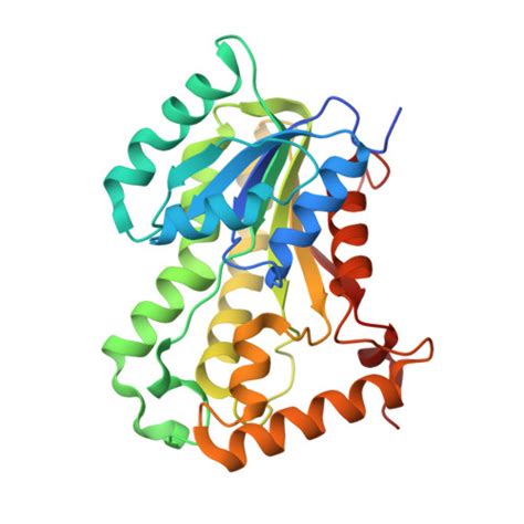 Rcsb Pdb 7kxa Crystal Structure Of Enoyl Acyl Carrier Protein