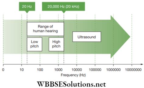 Neet Foundation Notes For Physics Chapter Sound Wbbse Solutions